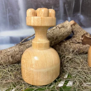 Copa Mediana Cabo Champiñón